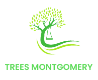 Tree Montgomery
